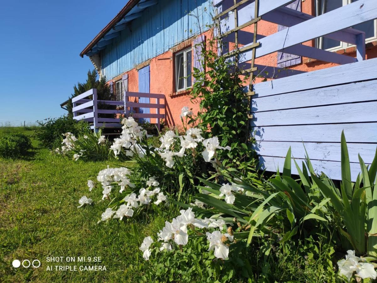 Folwark Malinowy Chrusniak Bisztynek Exterior foto