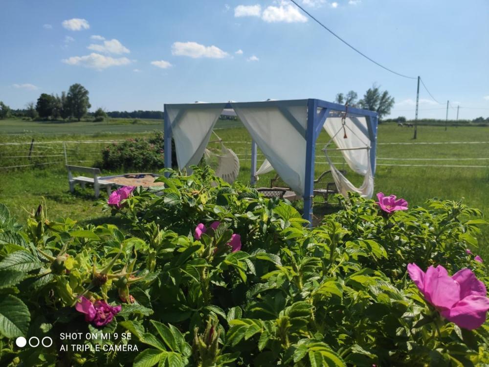 Folwark Malinowy Chrusniak Bisztynek Exterior foto
