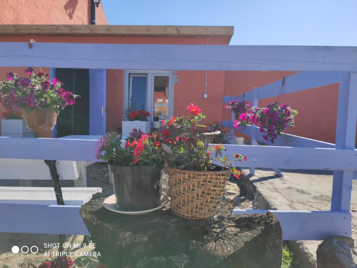 Folwark Malinowy Chrusniak Bisztynek Exterior foto
