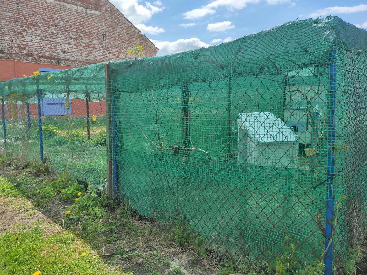 Folwark Malinowy Chrusniak Bisztynek Exterior foto