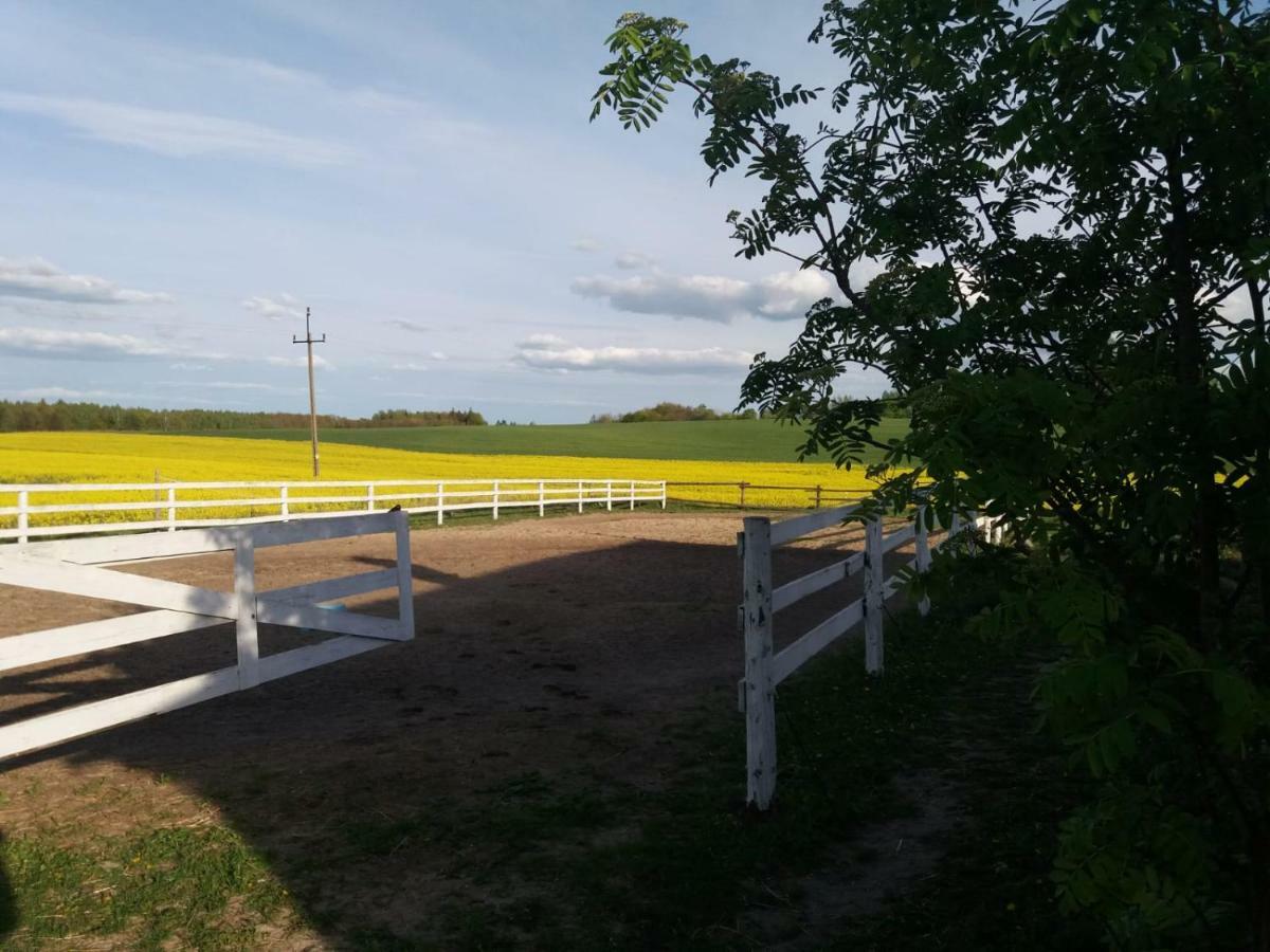 Folwark Malinowy Chrusniak Bisztynek Exterior foto